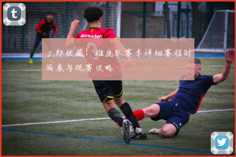 立即收藏！雄鹿队赛季详细赛程时间表与观赛攻略
