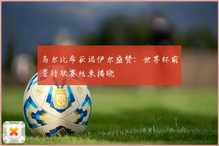 乌尔比希获诺伊尔盛赞：世界杯前景待联赛结束揭晓