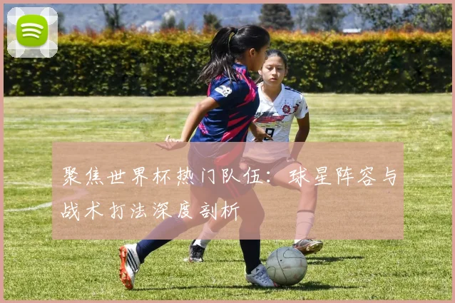 聚焦世界杯热门队伍：球星阵容与战术打法深度剖析