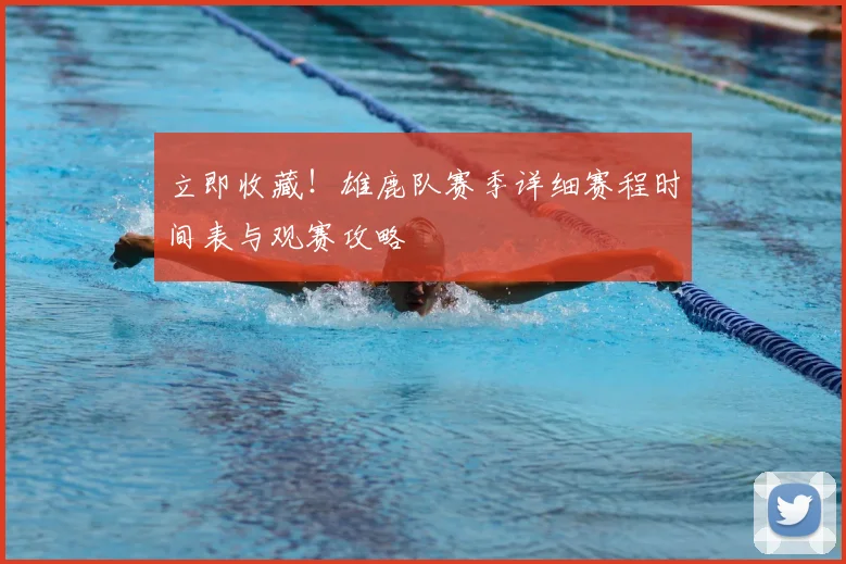 立即收藏！雄鹿队赛季详细赛程时间表与观赛攻略